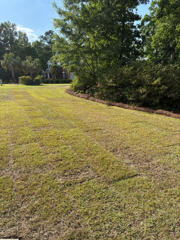 Lawn Maintenance