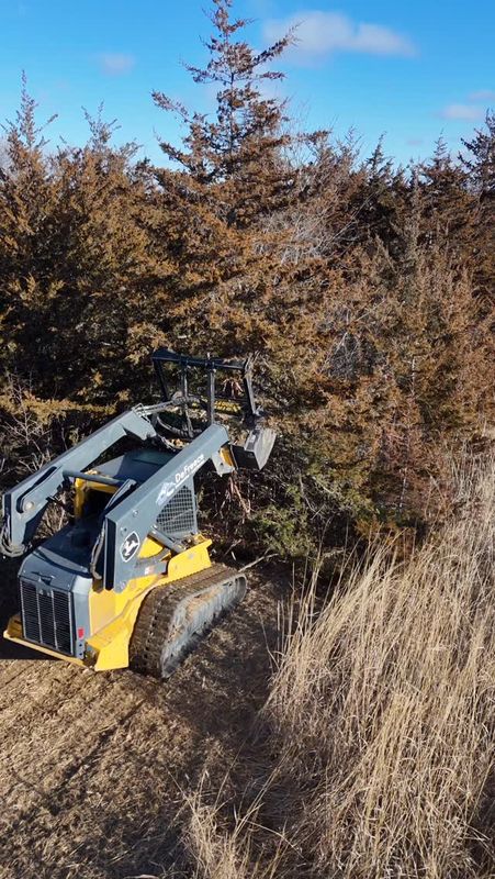 Tree Removal