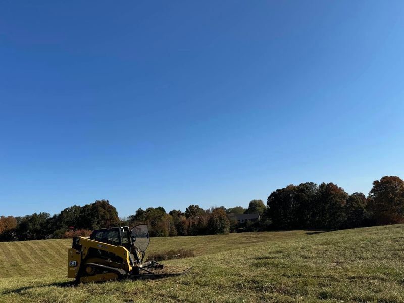 Forestry Mulching