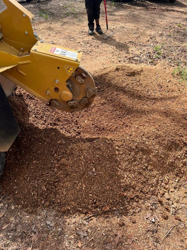 Stump Grinding and Removal