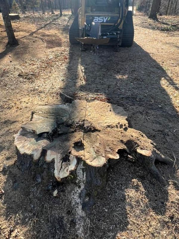 Stump Grinding