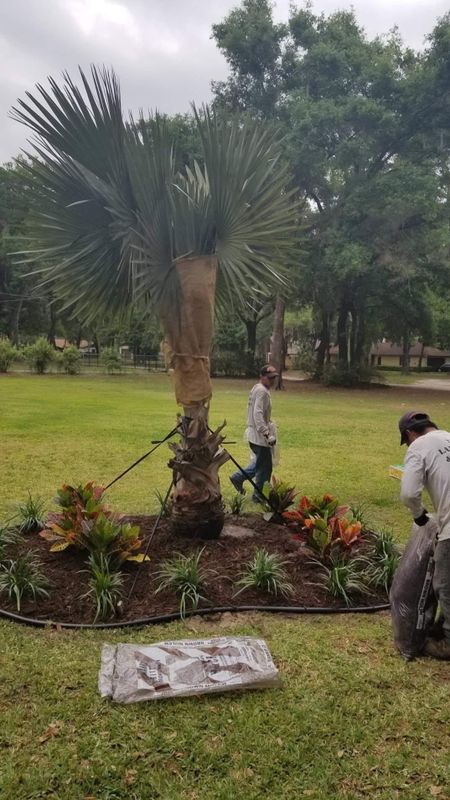 Landscaping