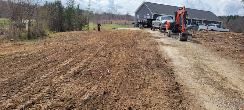 Land Clearing