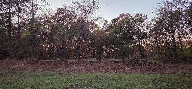 Brush Cutting