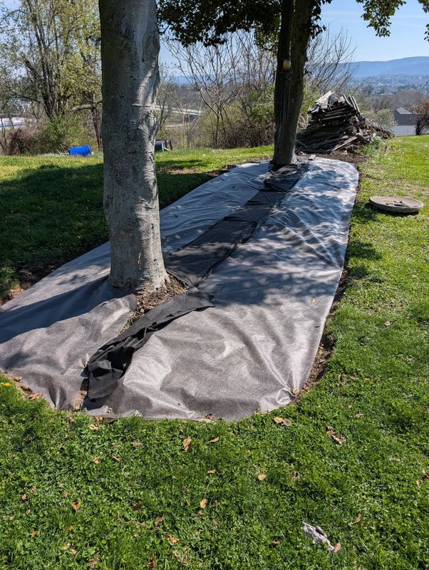 Landscape Design