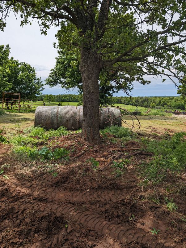 Land Clearing & Demolition