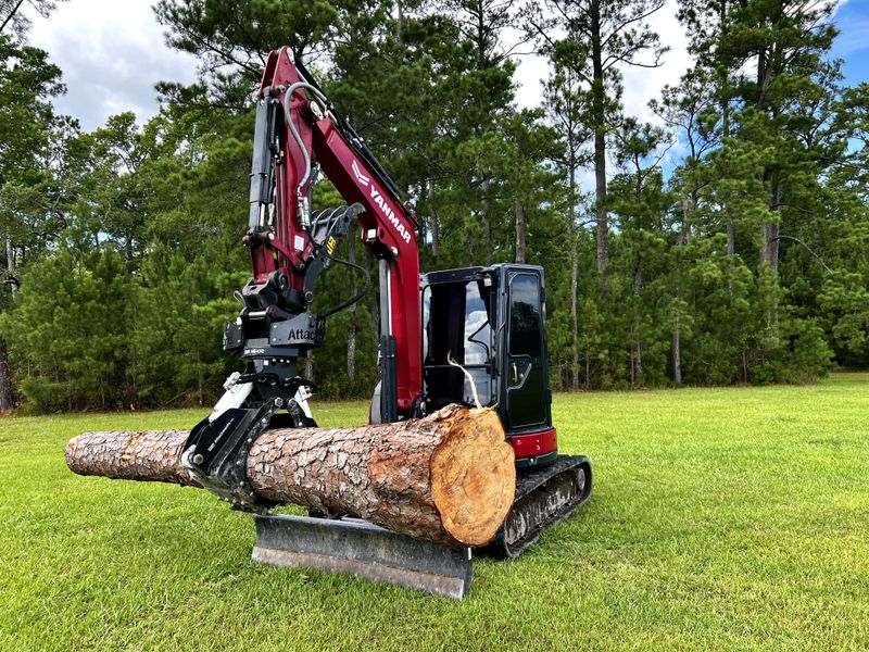 Tree Removal
