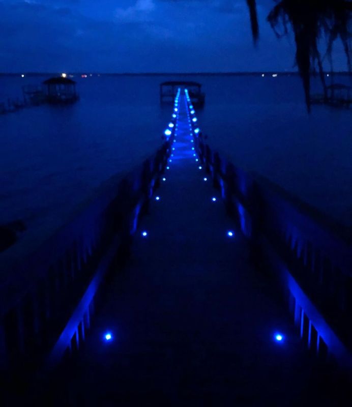 Landscape Lighting