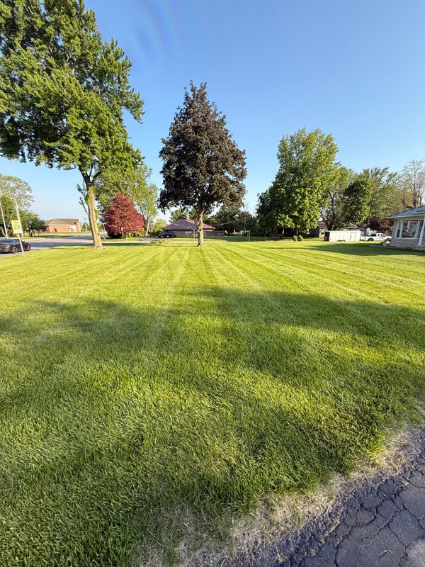 Lawn Care and Maintenance