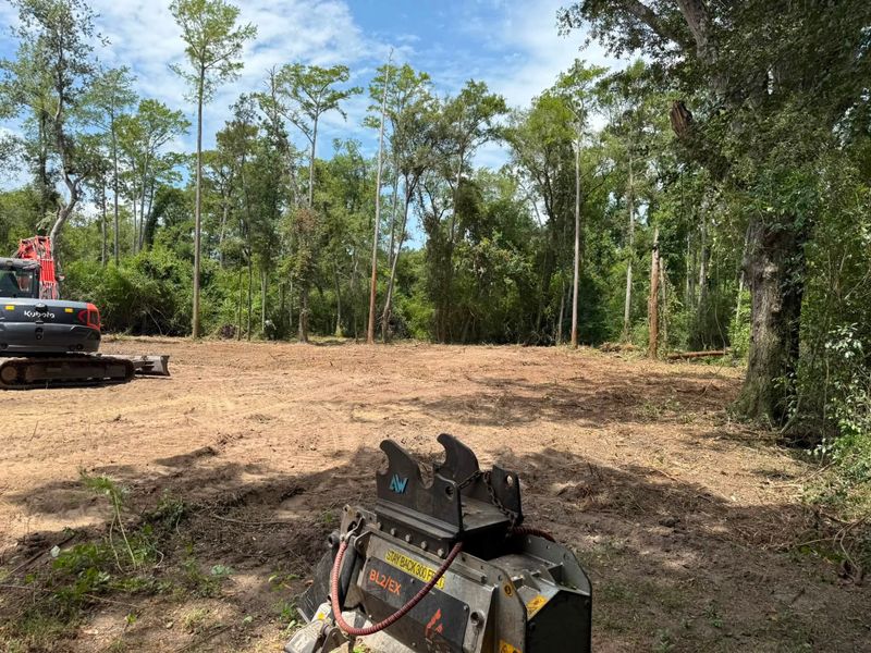 Land Clearing