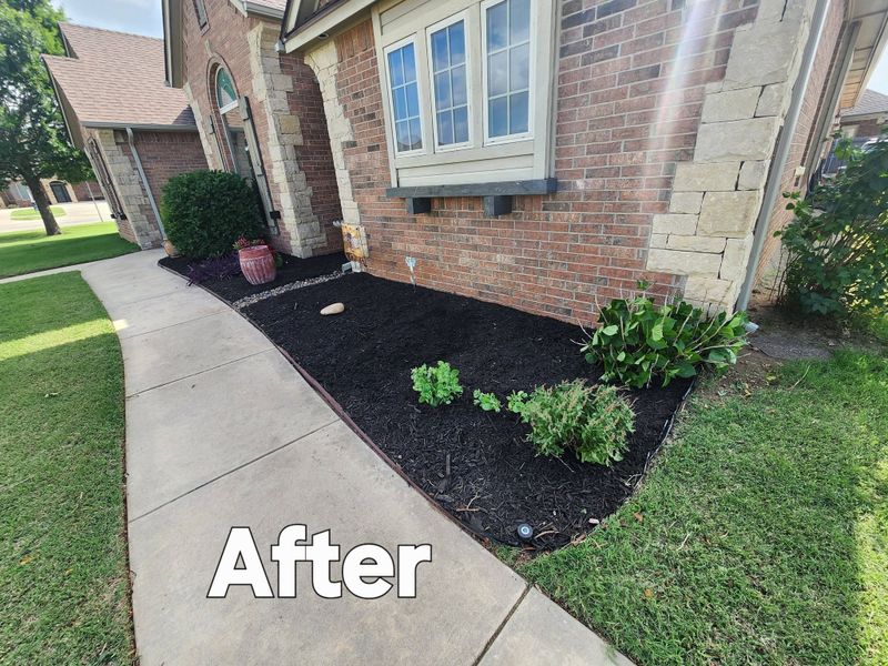 Landscape Design