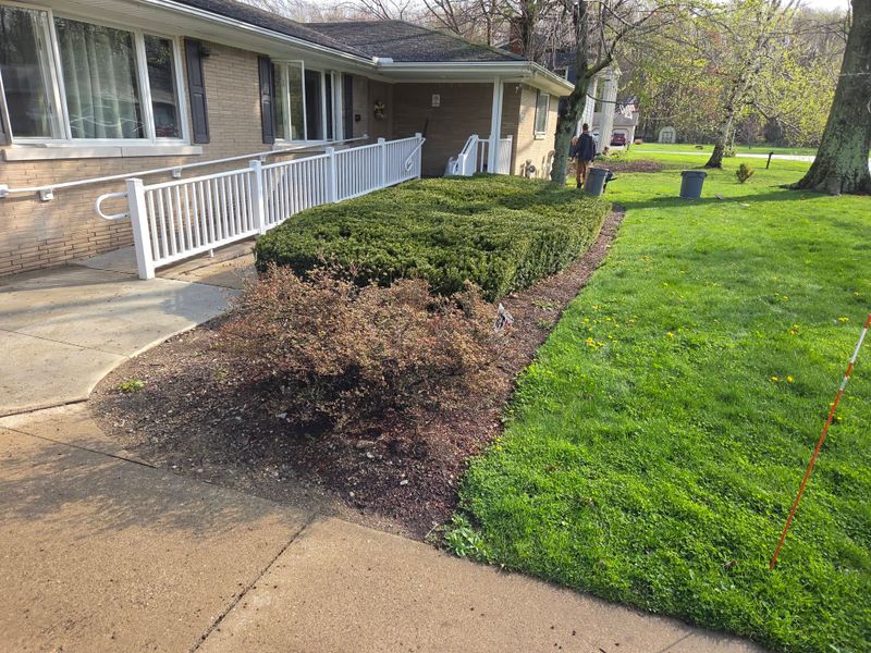 Landscaping