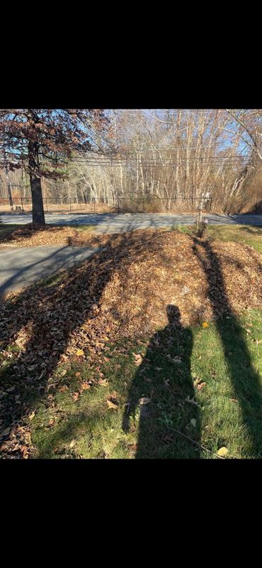 Fall Cleanup