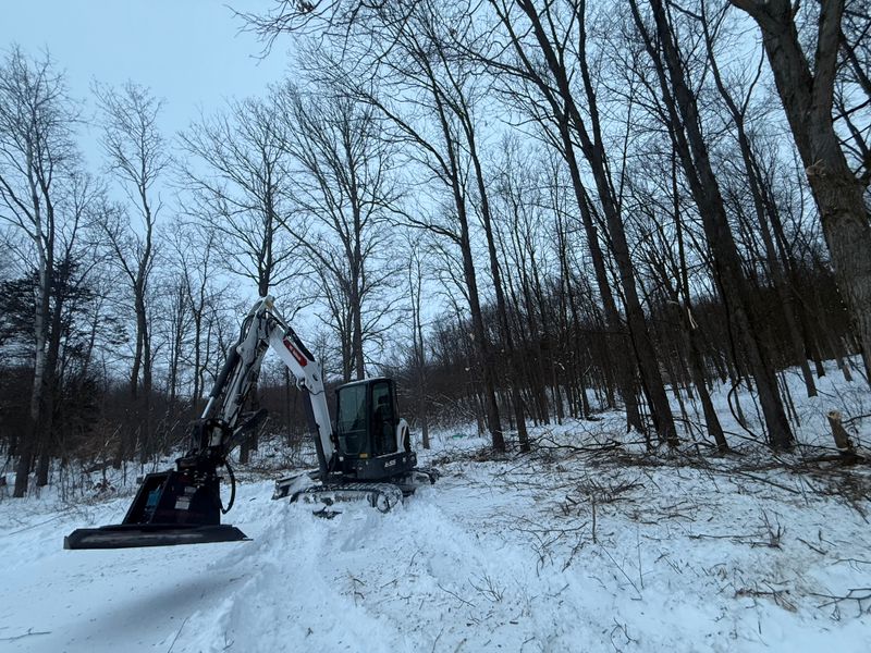 Land Clearing & Demolition