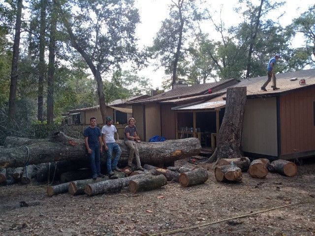 Tree Removal