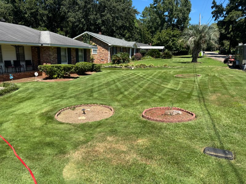 Other Lawn Services