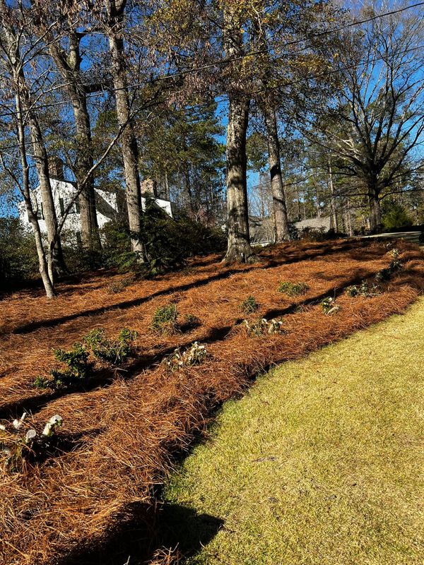 Lawn Care