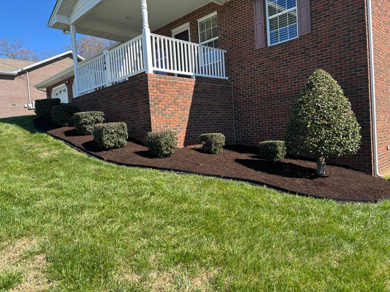 Landscape Design