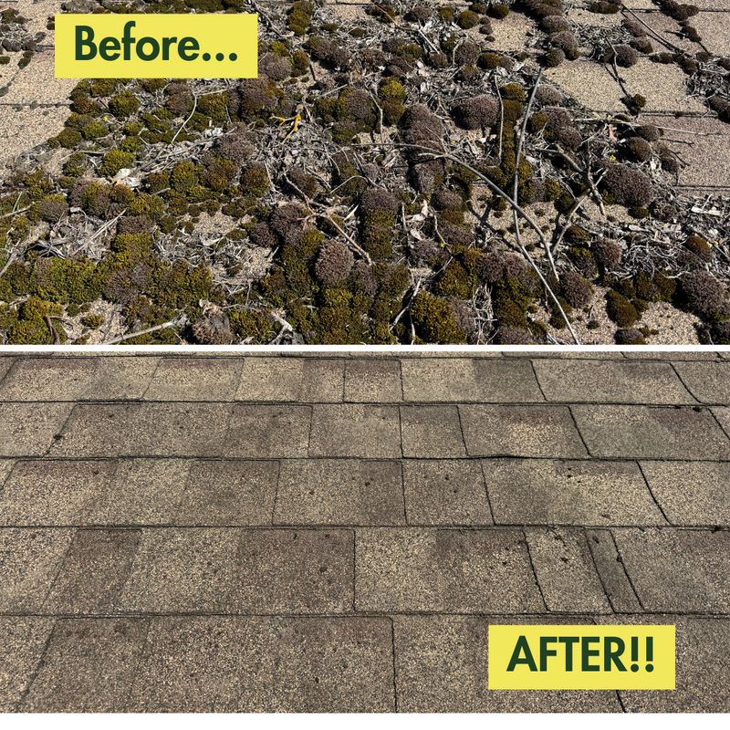 Before & After Photos