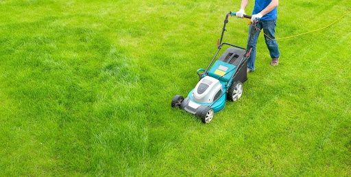 Lawn Care