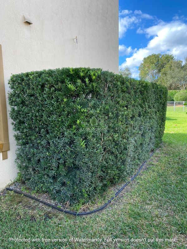 Landscaping