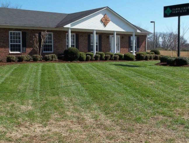 Lawn Maintenance