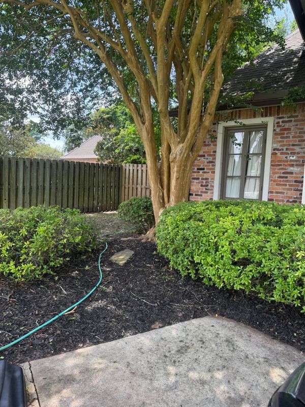 Landscape Design & Installation