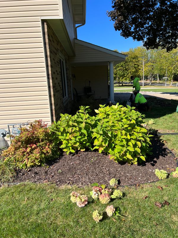 Landscaping