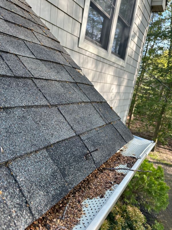 Gutter Cleaning