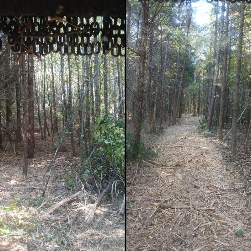 Forestry Mulching