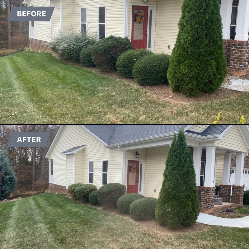 Shrub trimming 