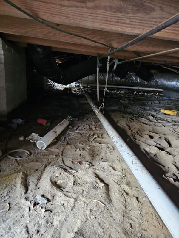 Drain Cleaning