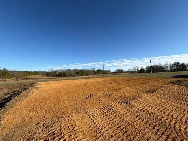Land Clearing