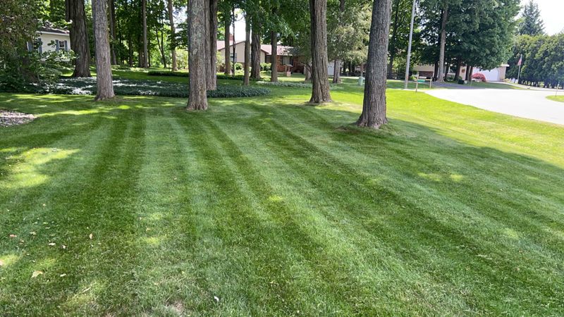 Mowing