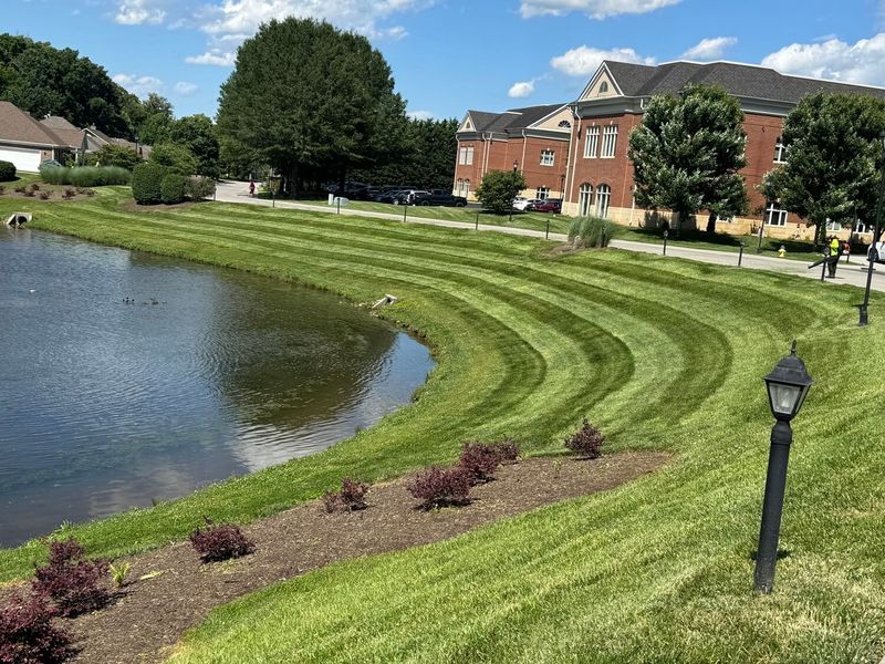 HOA & Community Landscaping