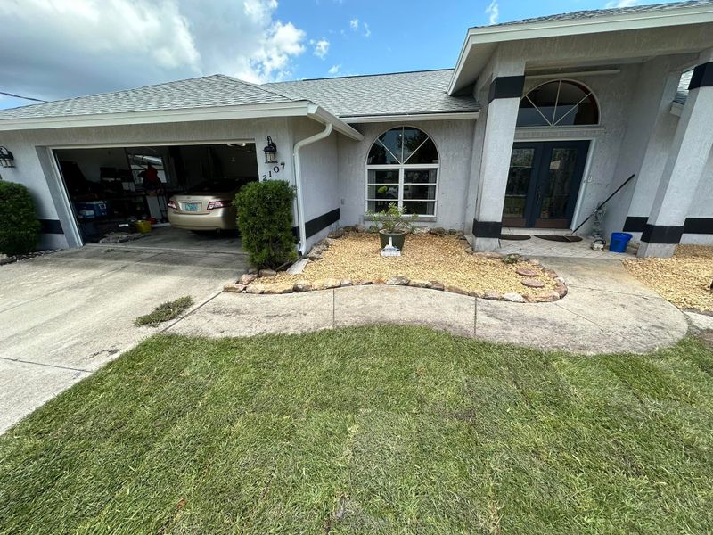 Tree Removal gallery