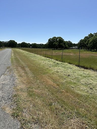 Lawn Maintenance