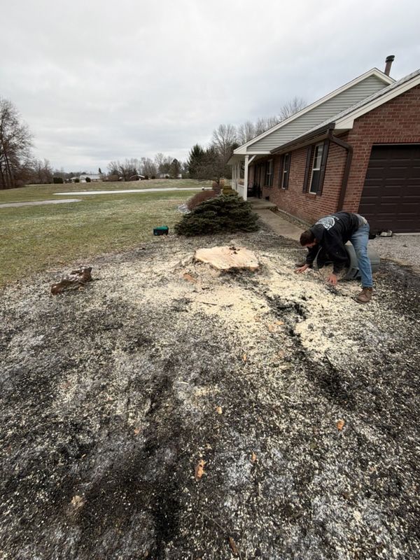 Stump Removal