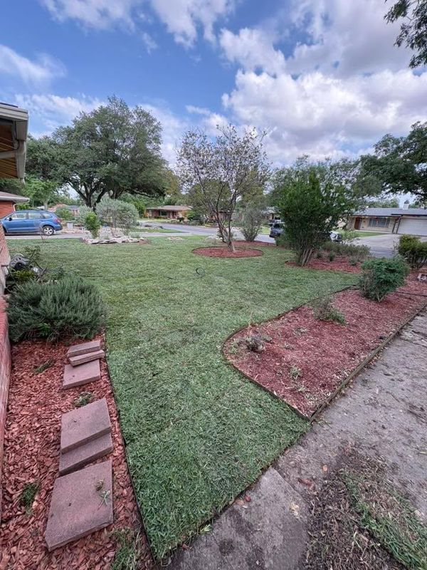 Sod & Seed installs