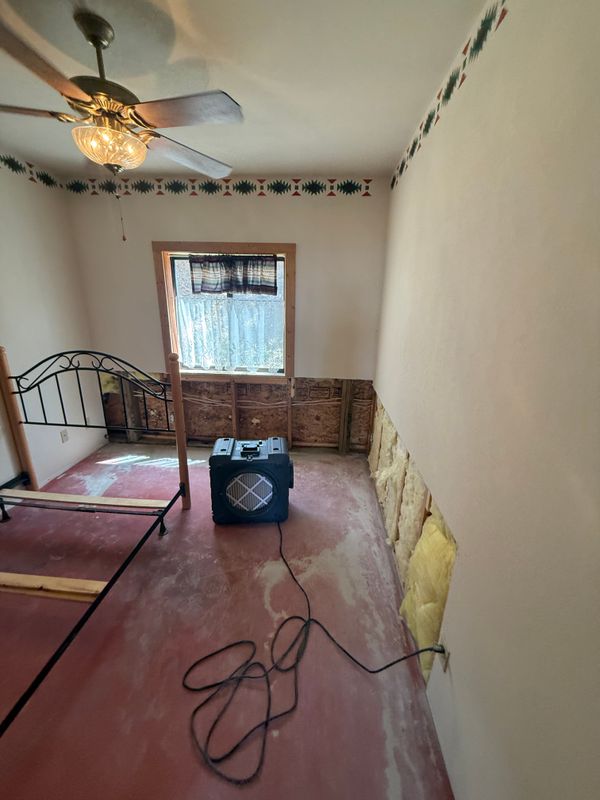 Mold Remediation