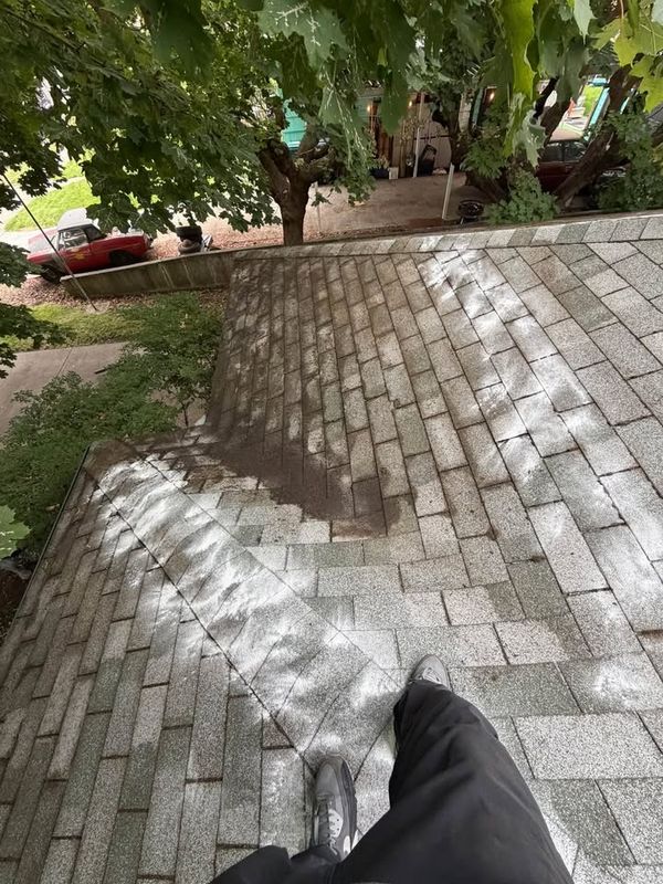 Soft Washing
