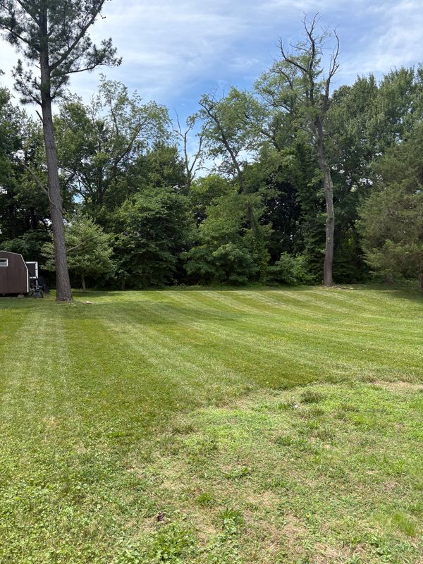Lawn Maintenance