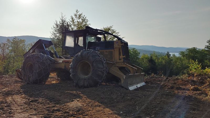 Tree Services