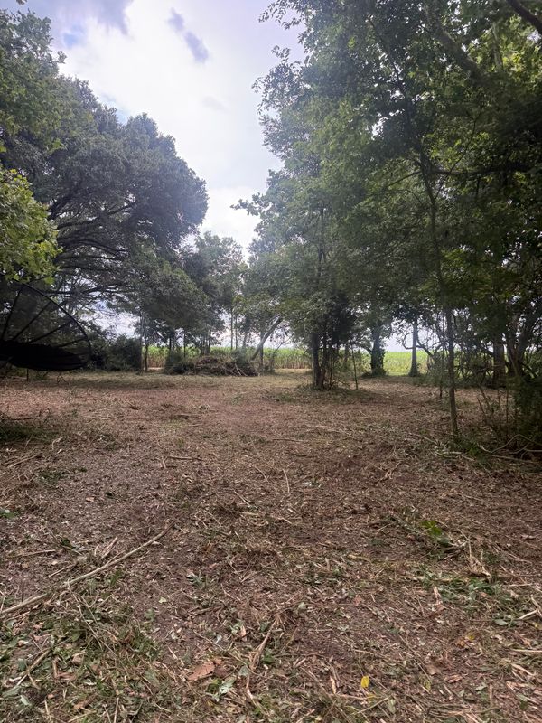Brush Cutting