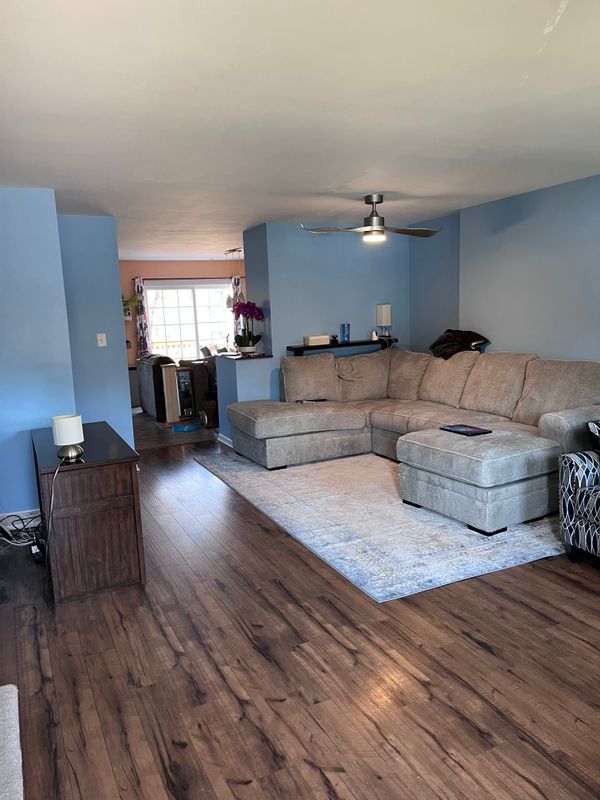Interior Painting