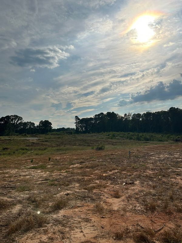 Land Clearing Photos