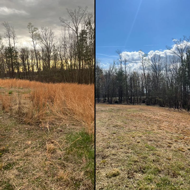 Brush cutting/clearing