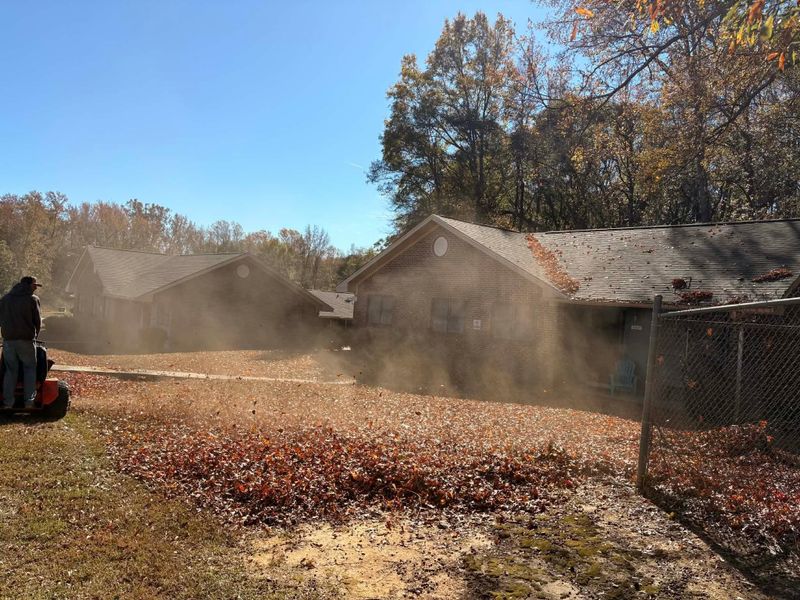 Fall Clean Up