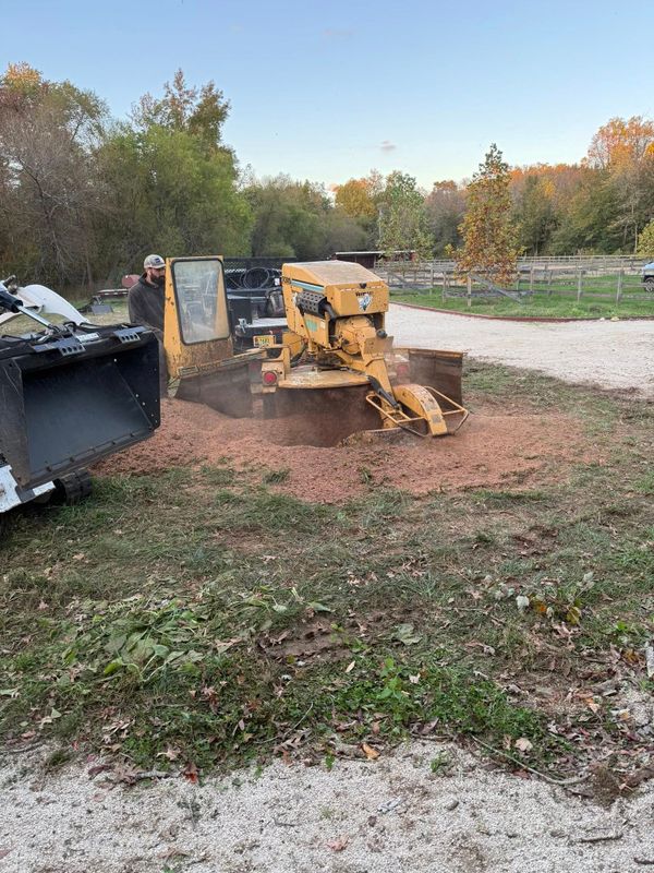 Stump Removal