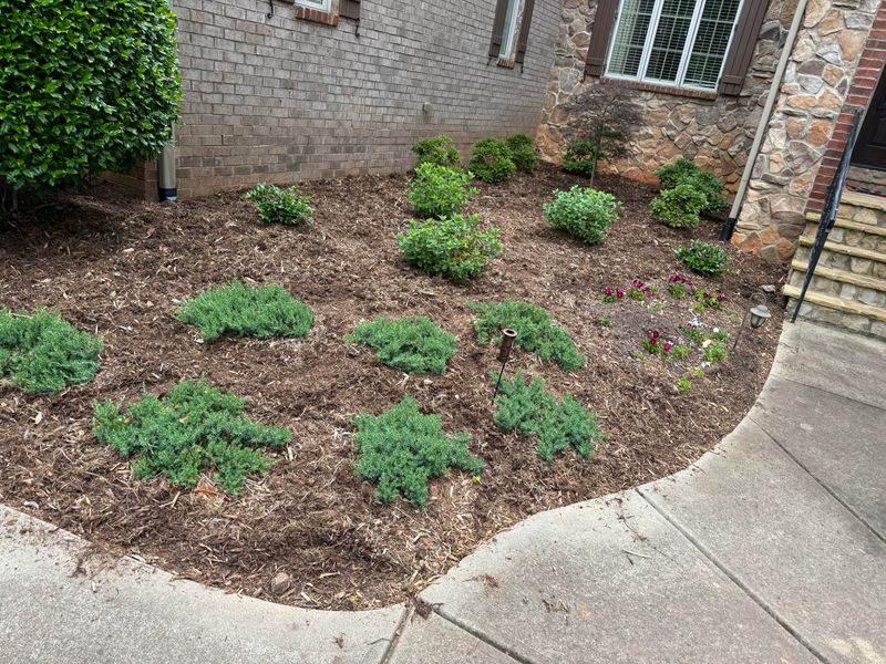 Landscape Installation